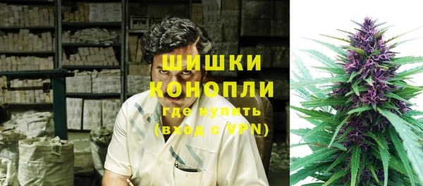 молекула духа Мегион